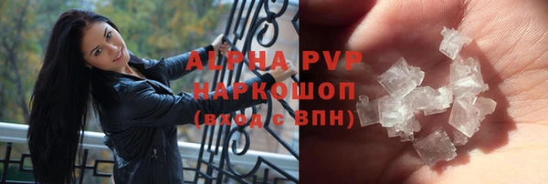 гашик Арсеньев