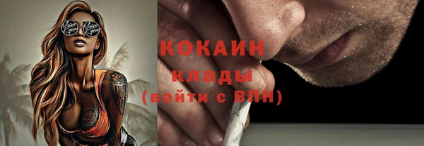 гашик Арсеньев
