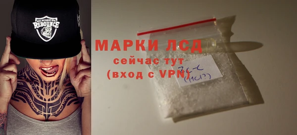 гашик Арсеньев
