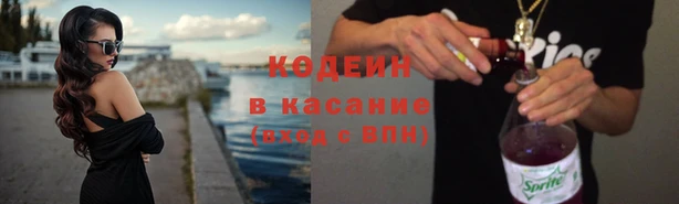 гашик Арсеньев