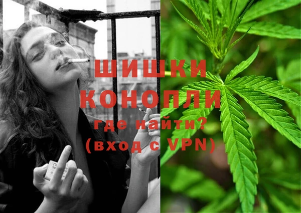 винт Аркадак