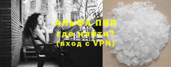 гашик Арсеньев