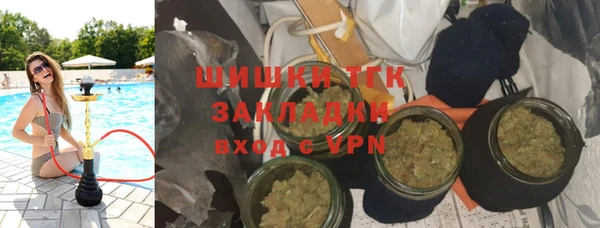 винт Аркадак