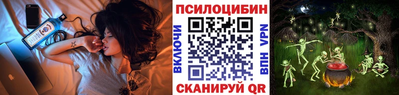 Псилоцибиновые грибы GOLDEN TEACHER Балтийск