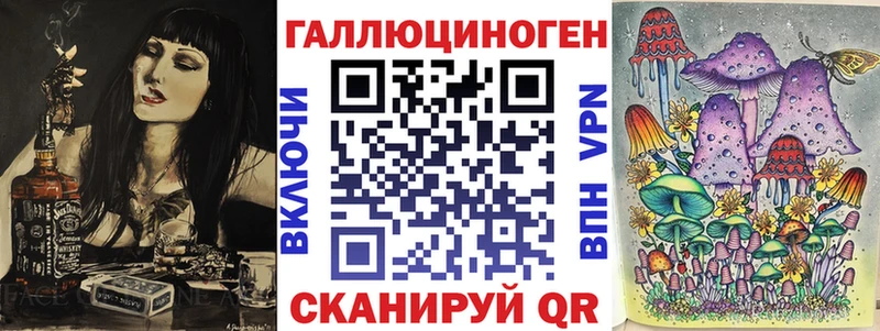 Псилоцибиновые грибы Psilocybe  Балтийск 